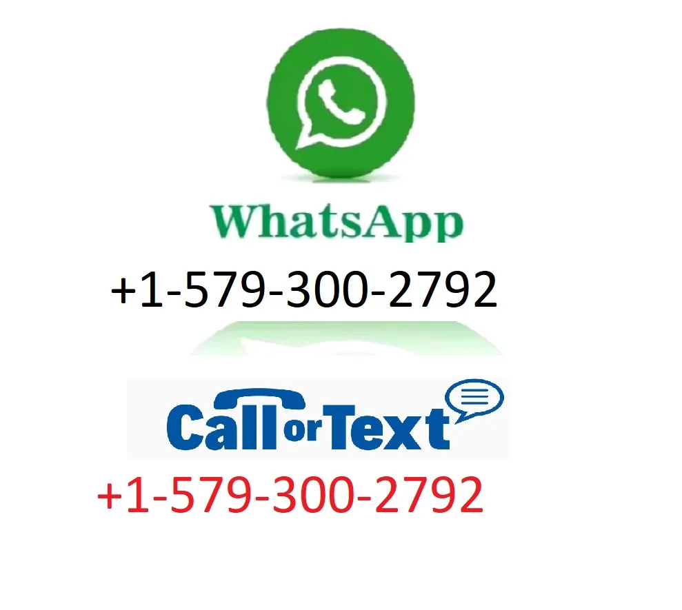 Все новые роботы-пылесосы roborocks s8 - Фотография_2