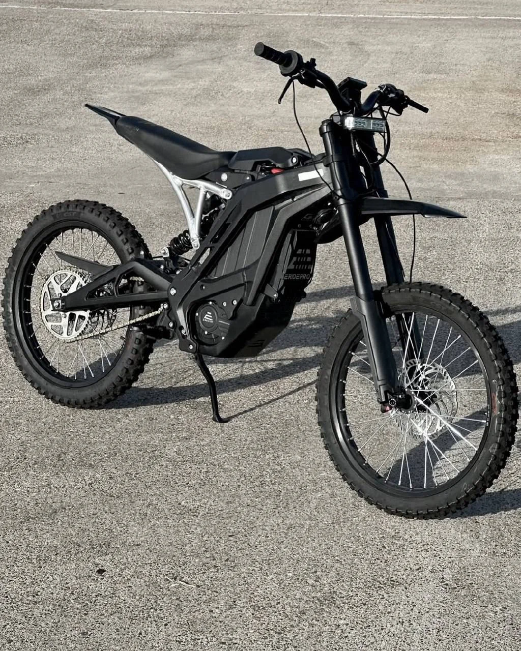 E ride pro ss 2,0 (19 дюймов) электрический