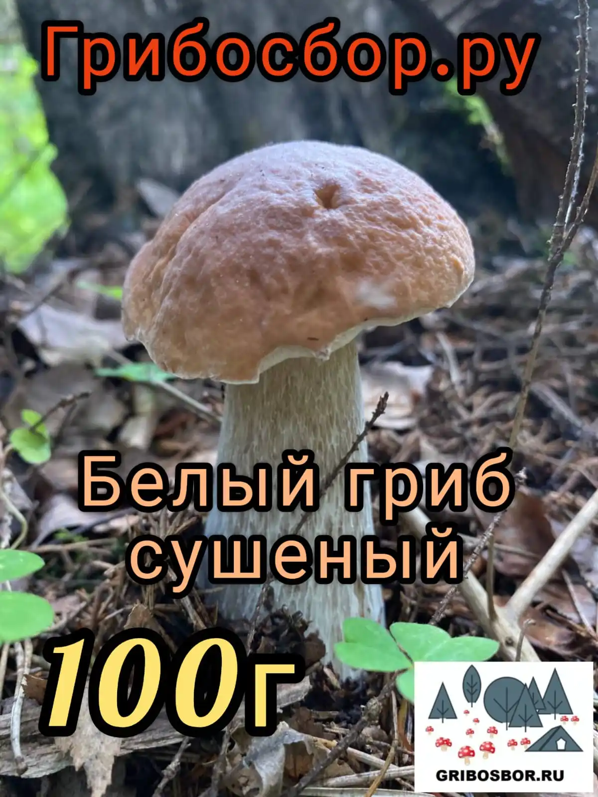 Белый гриб, сушеный 100г