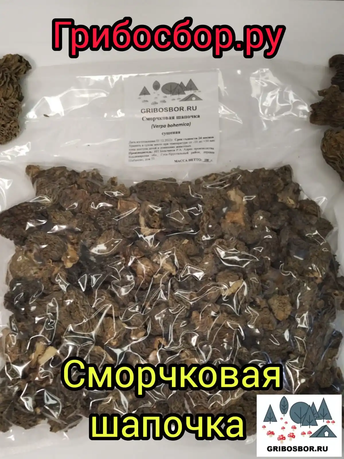 Гриб сморчковая шапочка