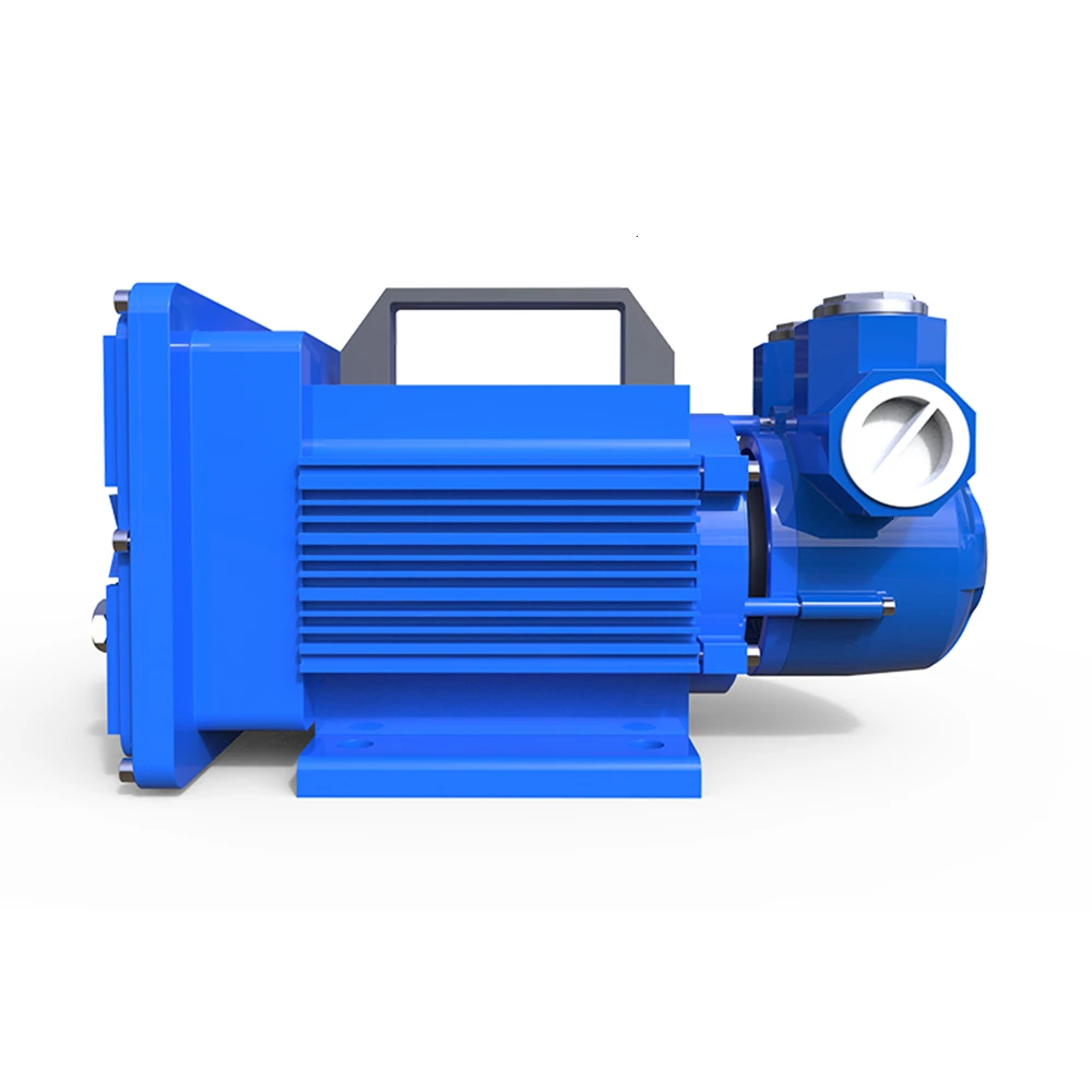 Бензиновый насос 12 в 24 в с взрывозащищенной системой - Фотография_4