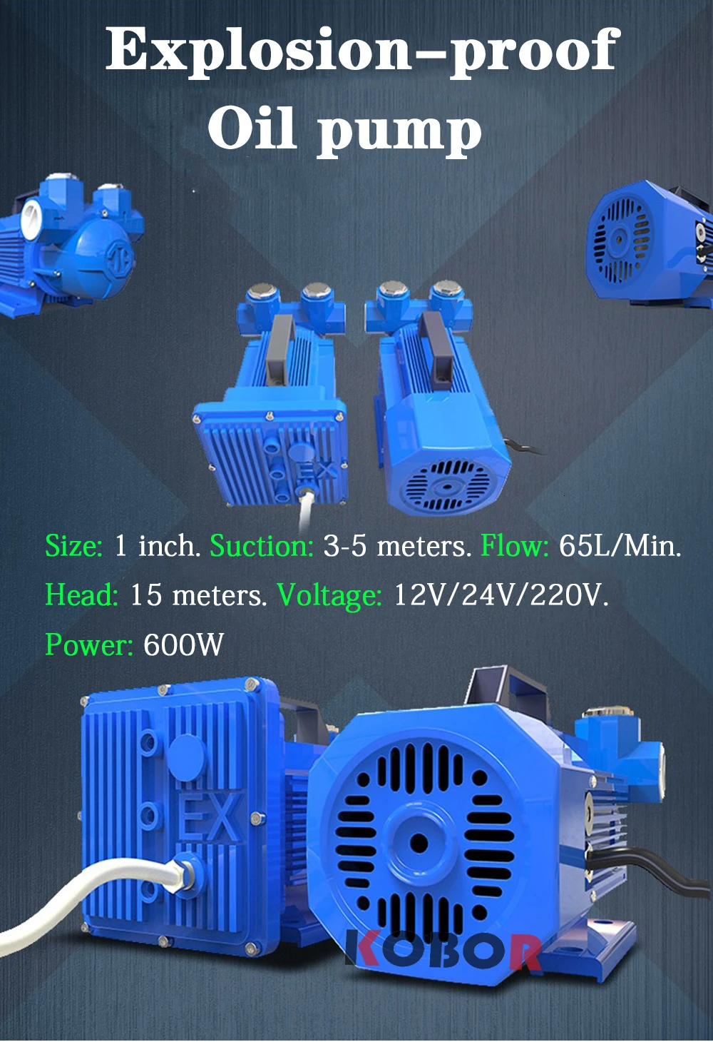 Бензиновый насос 12 в 24 в с взрывозащищенной системой - Фотография_6
