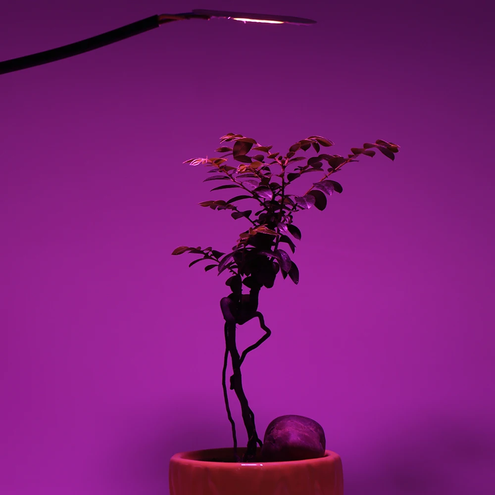 Cob chip led grow light полный - Фотография_4