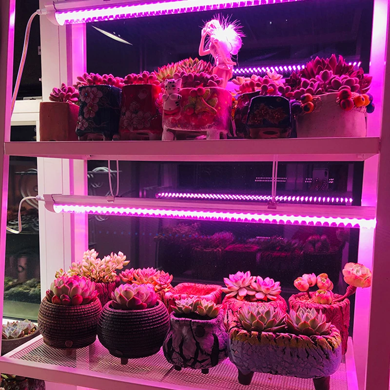Cob chip led grow light полный - Фотография_6