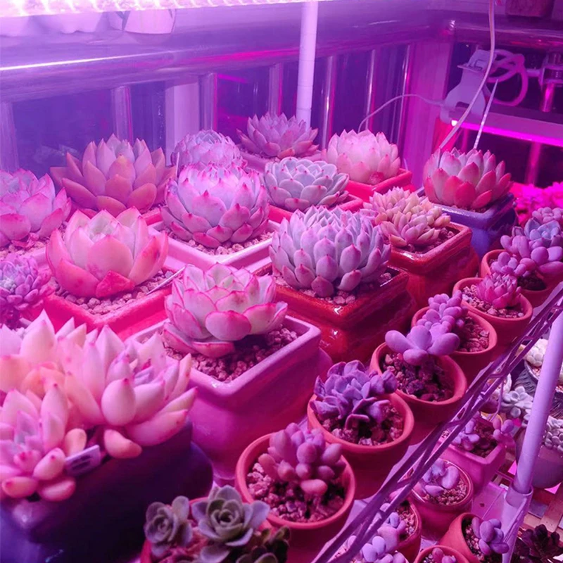 Cob chip led grow light полный - Фотография_5