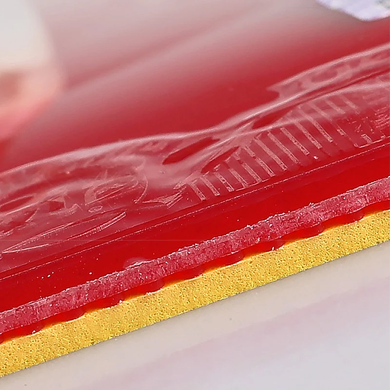 Коллекция 729 года - Фотография_3