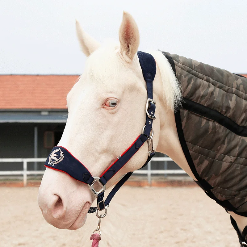 Противоизносная моста cavassion bridle
