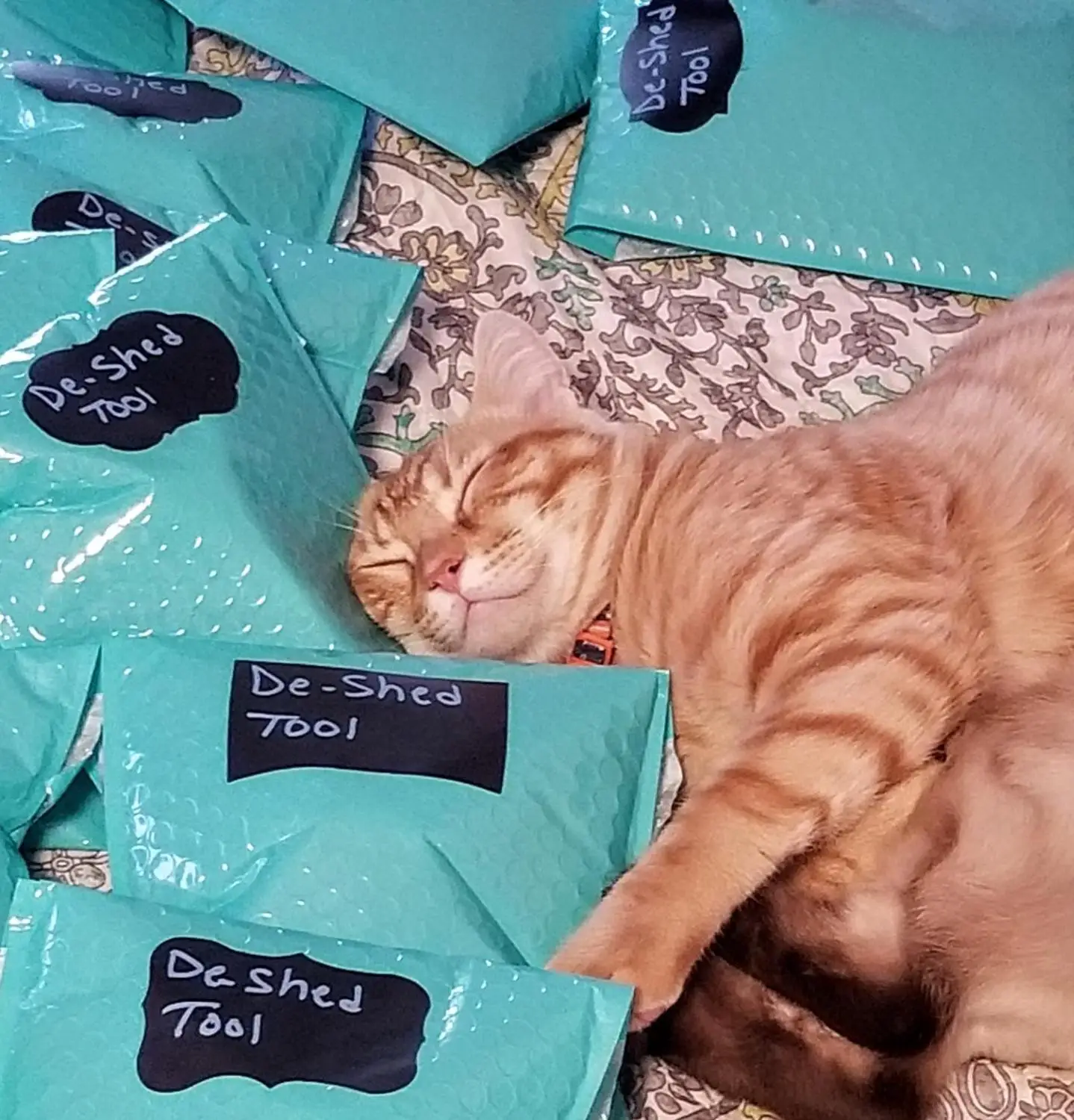#000 4x8 дюймов teal poly bubble mailer - Фотография_2