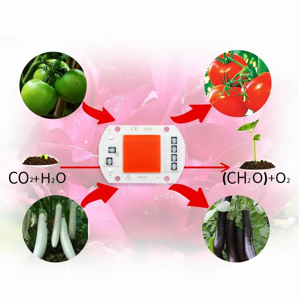 Cob chip led grow light полный - Фотография_2