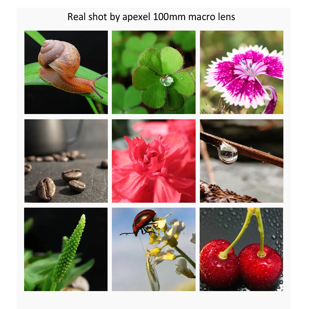 Apexel 100 мм макро объектив для - Фотография_4
