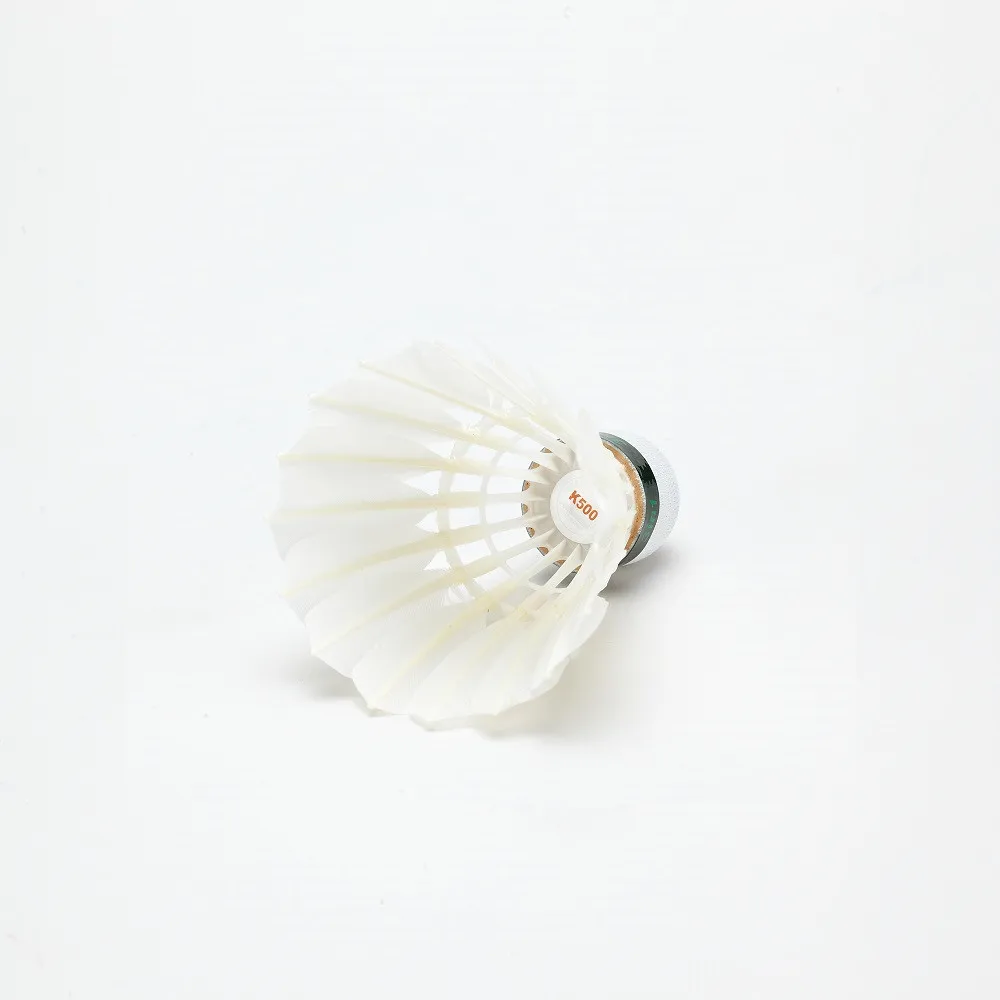 Kawasaki king kong 500 бадминтон - Фотография_6