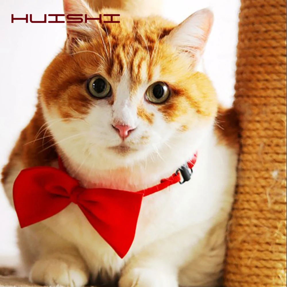 Галстук-бабочка для домашних животных huishi - Фотография_3