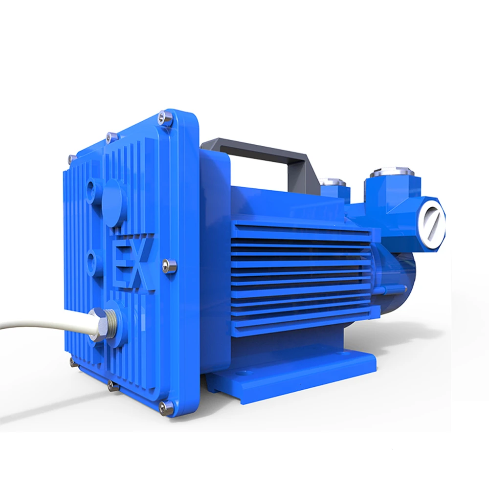 Бензиновый насос 12 в 24 в с взрывозащищенной системой - Фотография_2