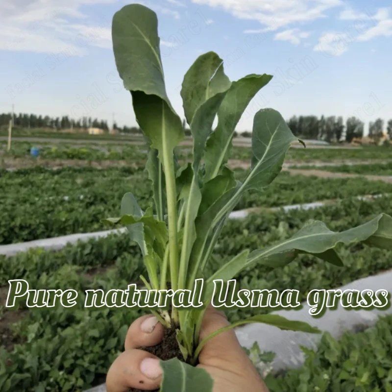 Кипарис лист усман трава шампунь - Фотография_2