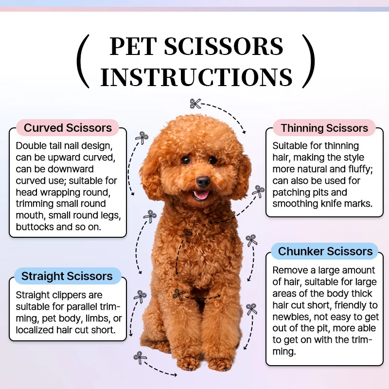 Fenice 6,5-дюймовые красочные прямые - Фотография_3