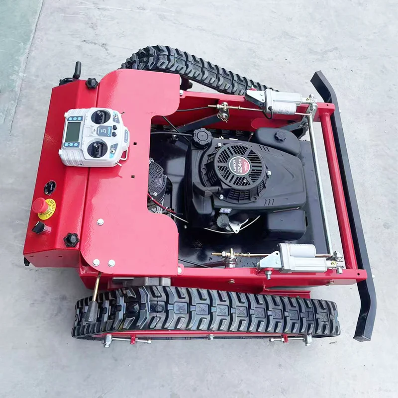 Домашний робот по индивидуальному заказу с дистанционным мониторингом - Фотография_5