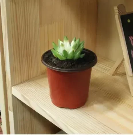 Цветочный горшок - Фотография_6