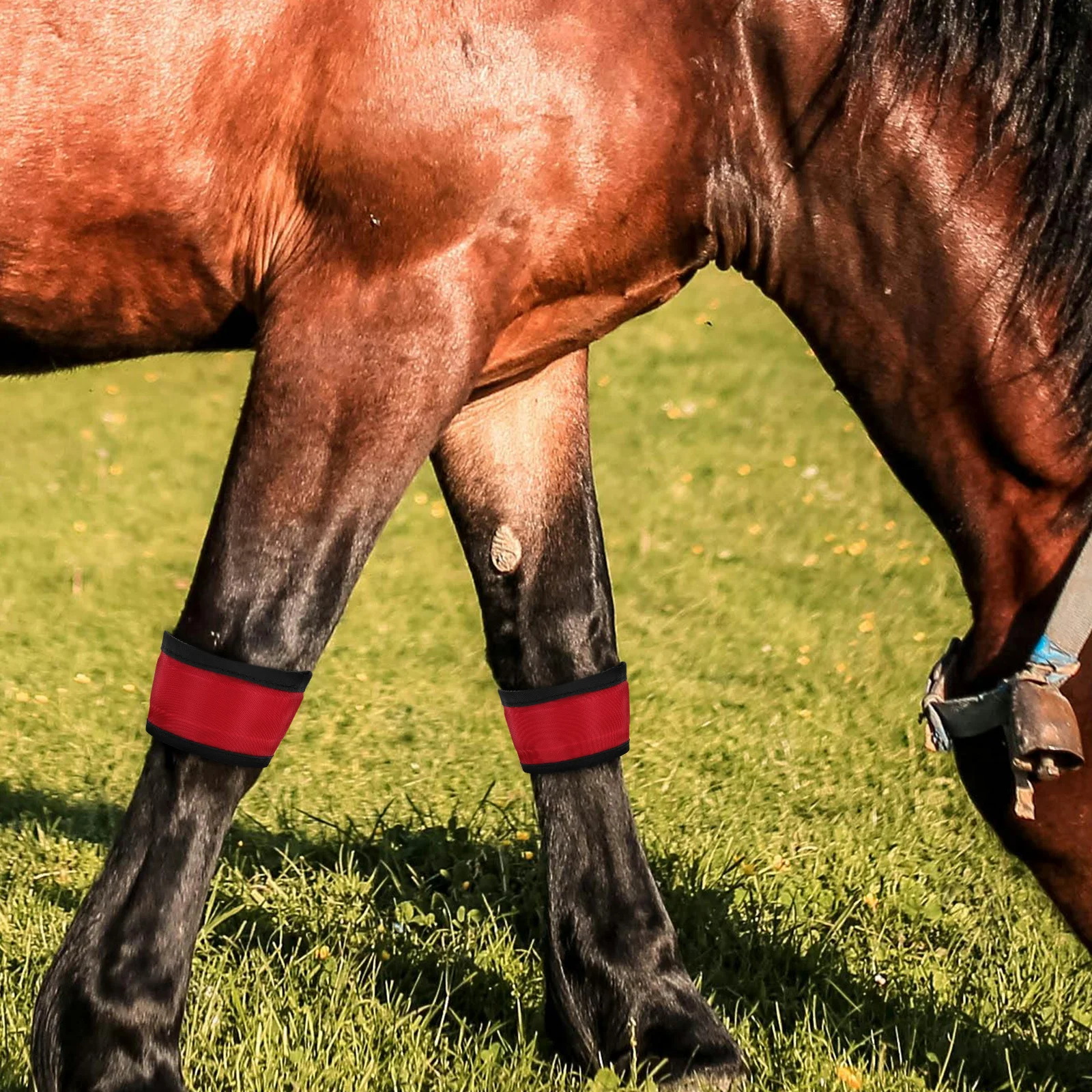 Светодиодные ленты для ног лошади - Фотография_2