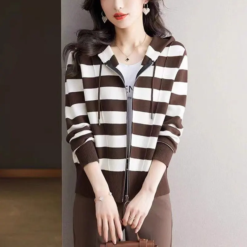 Повседневные полосатые пуловеры с капюшоном