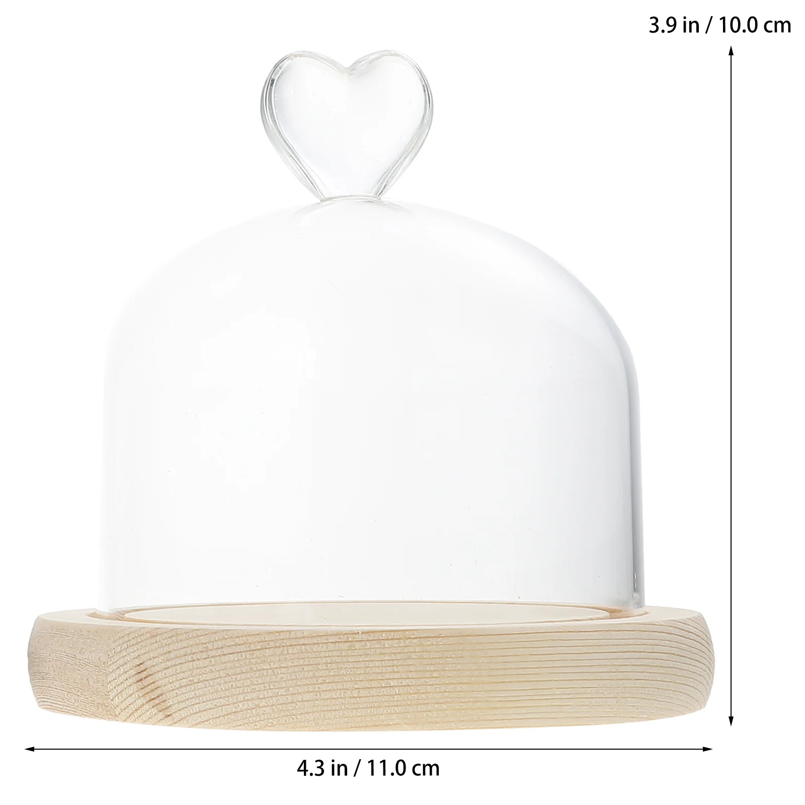 Стеклянная крышка с бессмертным цветком - Фотография_2