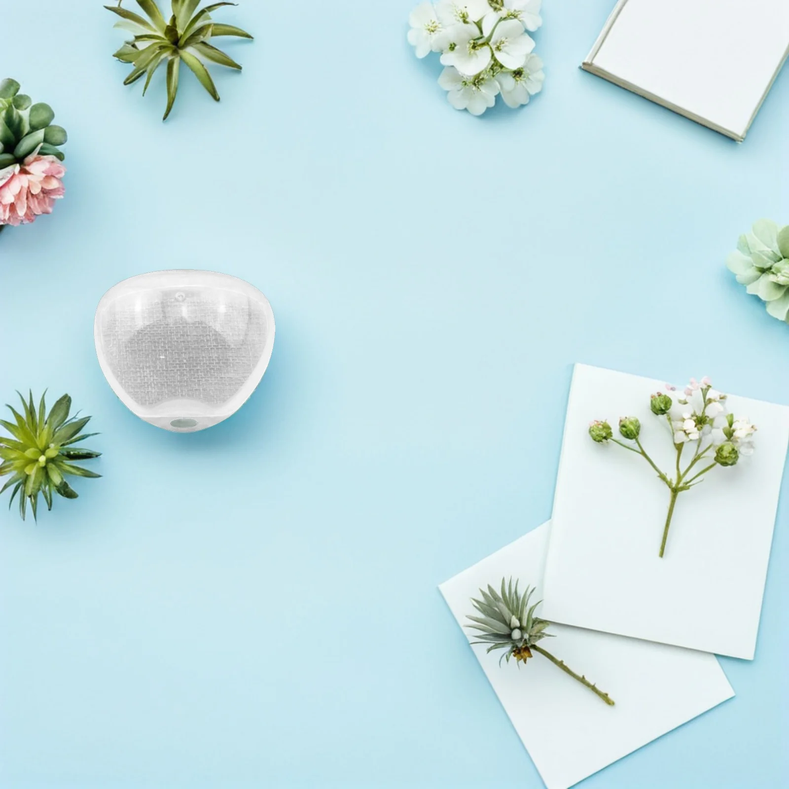 Коробка для хранения соски - Фотография_3