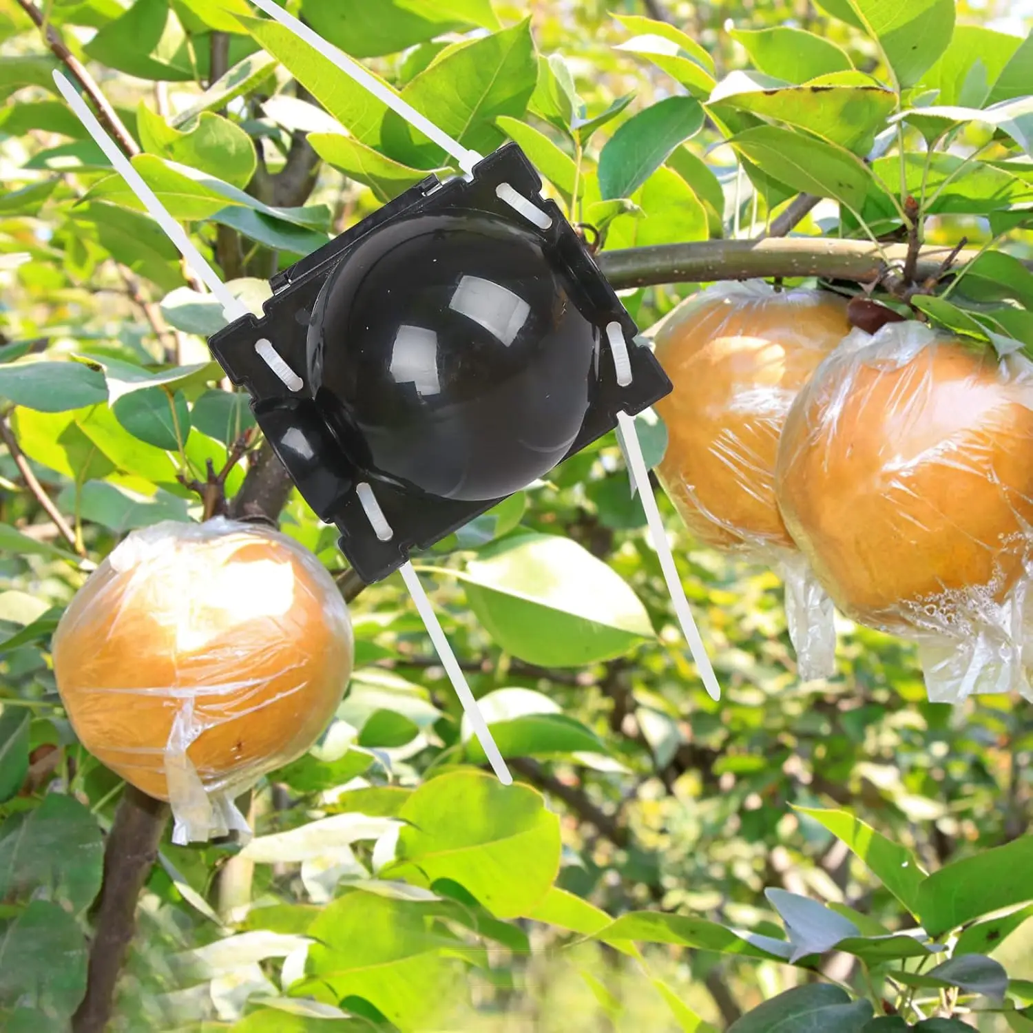 Шарик для укоренения растений - Фотография_5