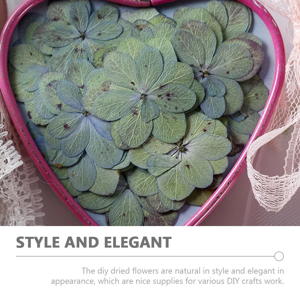 Двухслойные сушеные прессованные цветы гортензии для рукоделия из смолы - Фотография_3