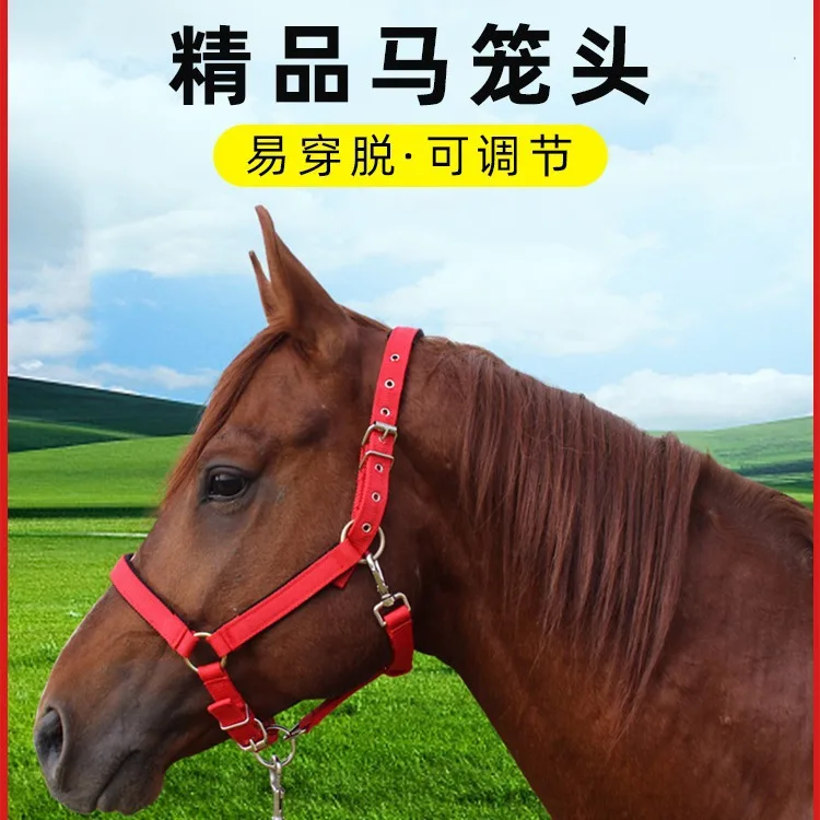 Профессиональный производитель