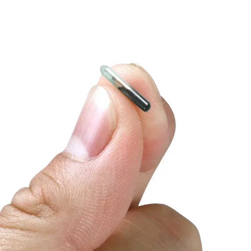 Чип для идентификации животных - Фотография_5