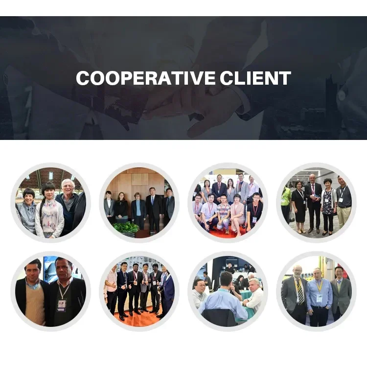 Электронный графиновый ультра-автомобильный аудиовыпускной модуль - Фотография_3