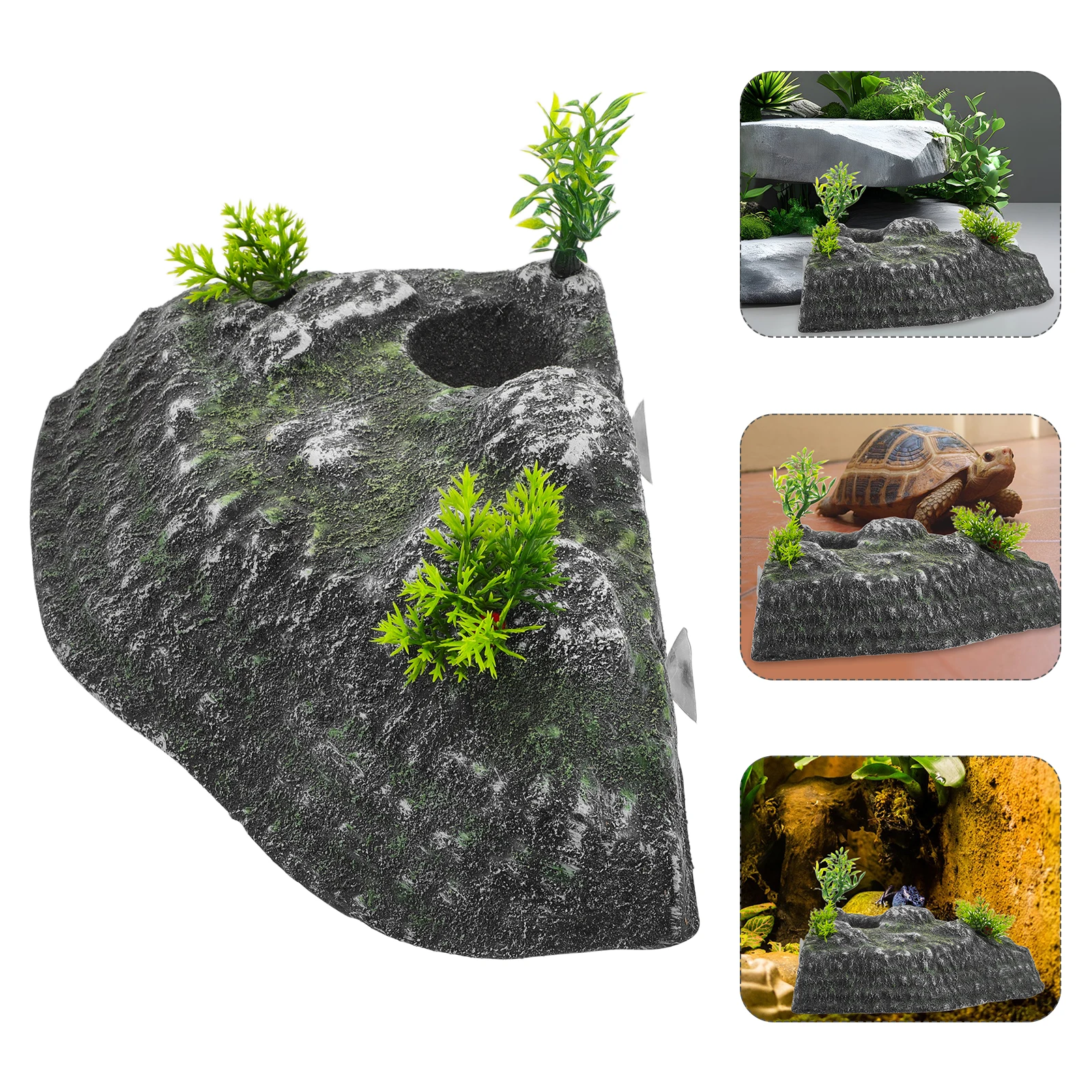 Платформа для сушки черепахи - Фотография_4