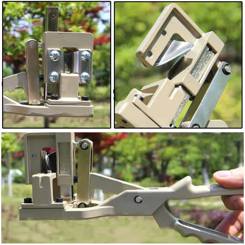 Новый большой прививочный инструмент - Фотография_3