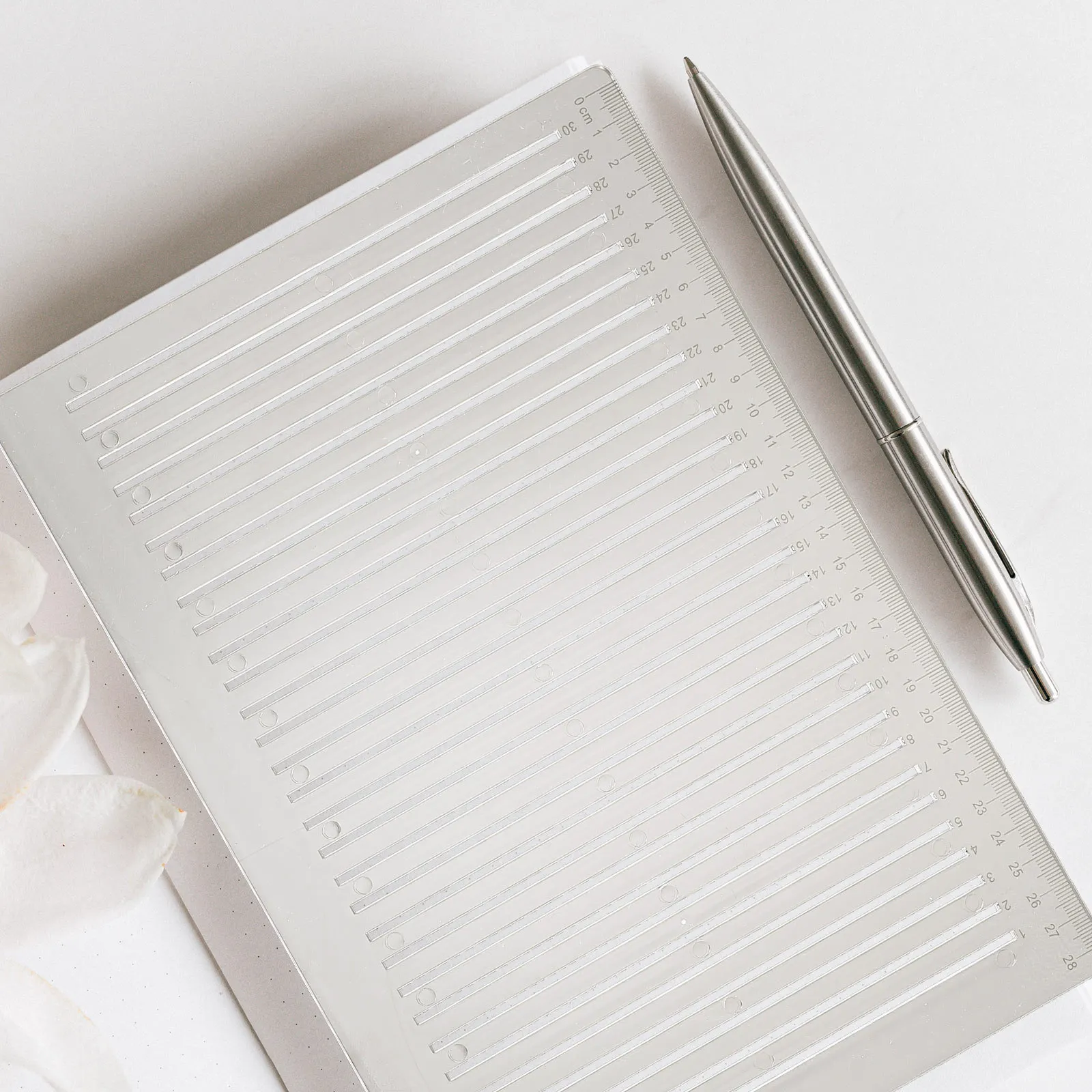 Прозрачный пластиковый экзамен - Фотография_2