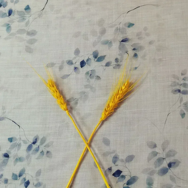 Чистая нижняя часть - Фотография_3