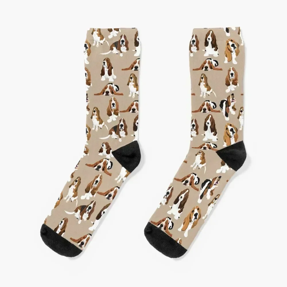 Носки basset hound
