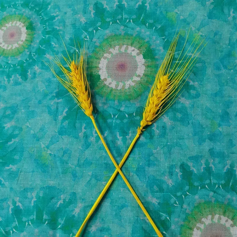 Новая ткань рами с цифровой печатью - Фотография_3