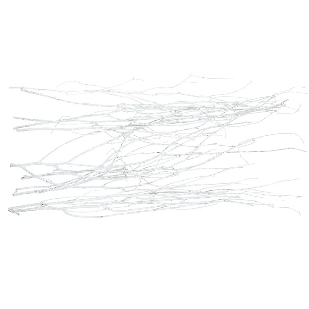 Декоративные сушеные ветки натуральные - Фотография_2