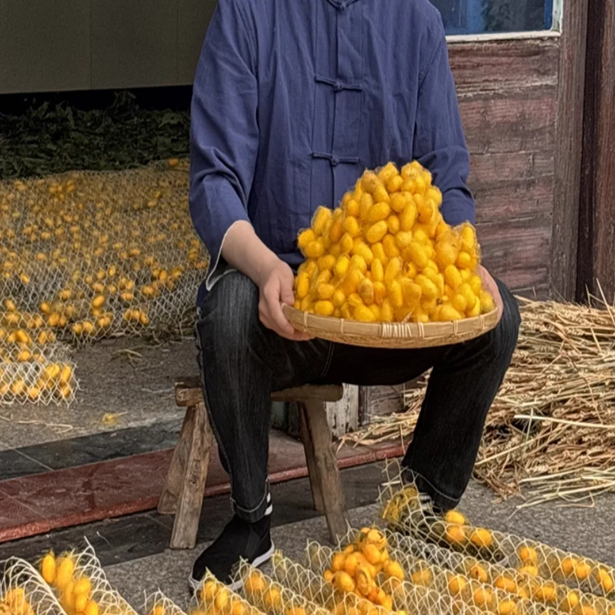 Натуральный золотой цвет |   одеяло - Фотография_6