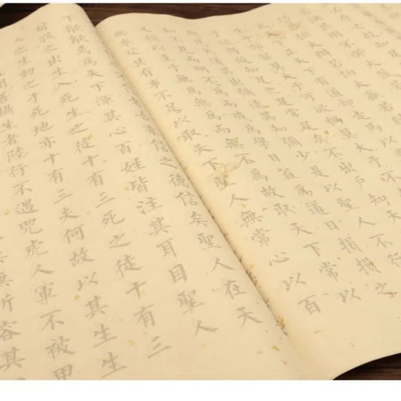 Тетрадь tao te ching для рукописного письма xuan - Фотография_4