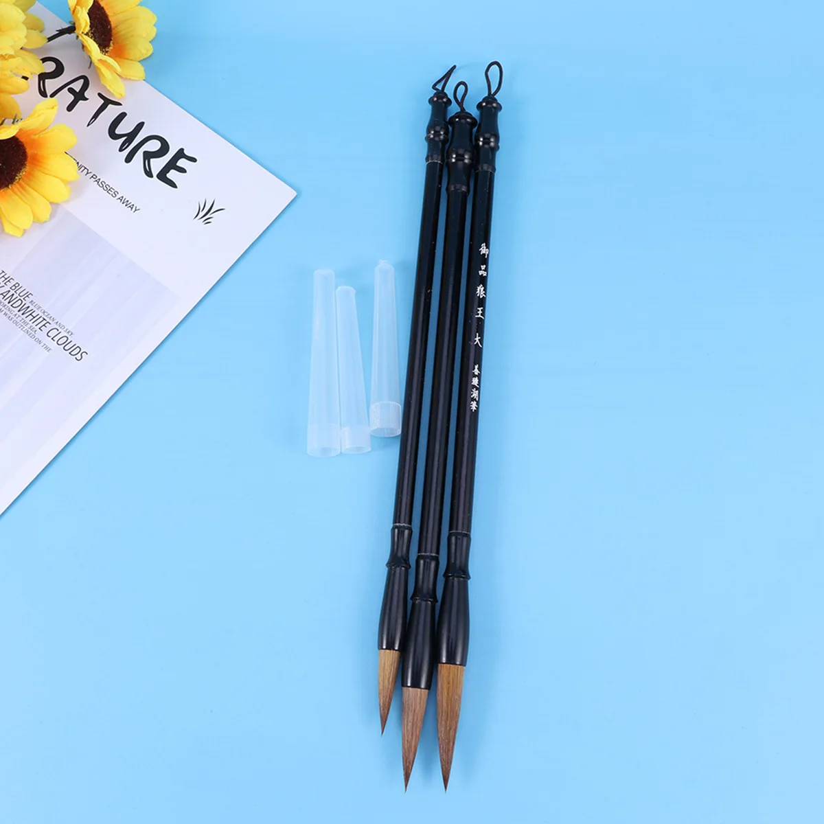 Кисти для каллиграфии с черными волосами