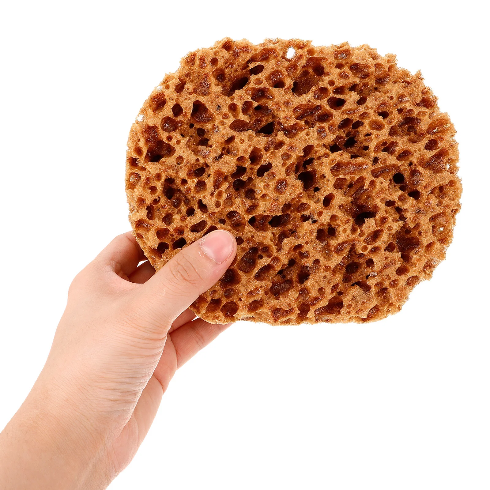 Губки для рисования акриловой краски - Фотография_3