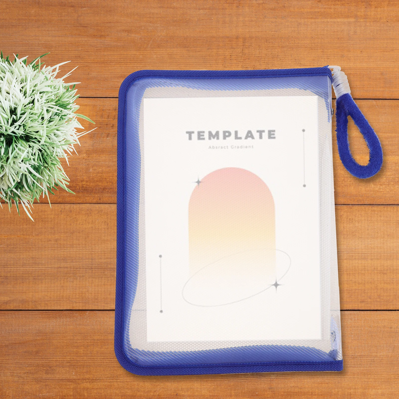 Прозрачная сумка для файлов - Фотография_4