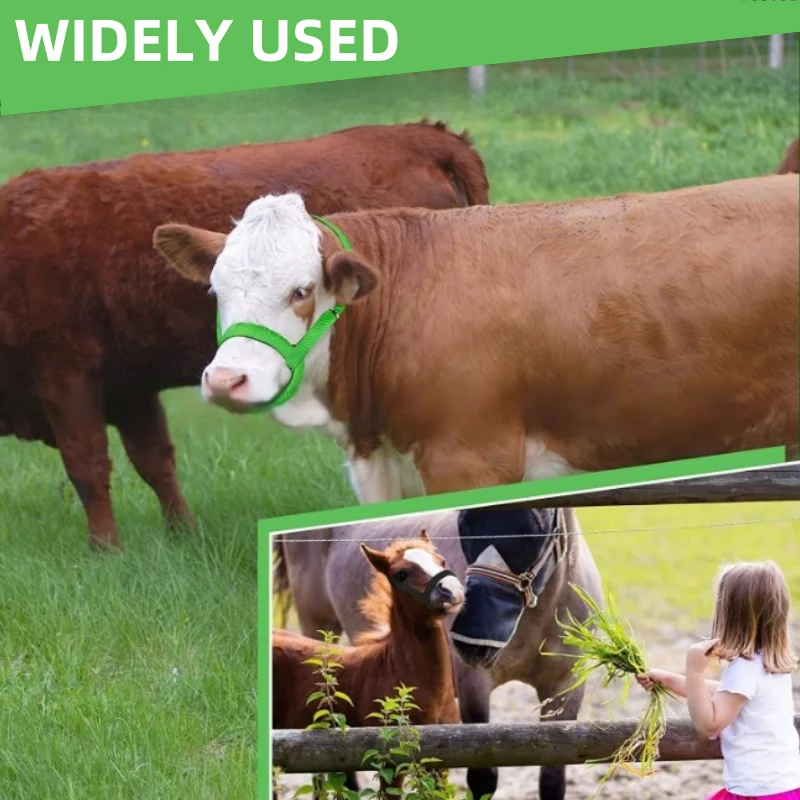 Зеленая регулируемая нейлоновая веревка для домашнего скота - Фотография_5