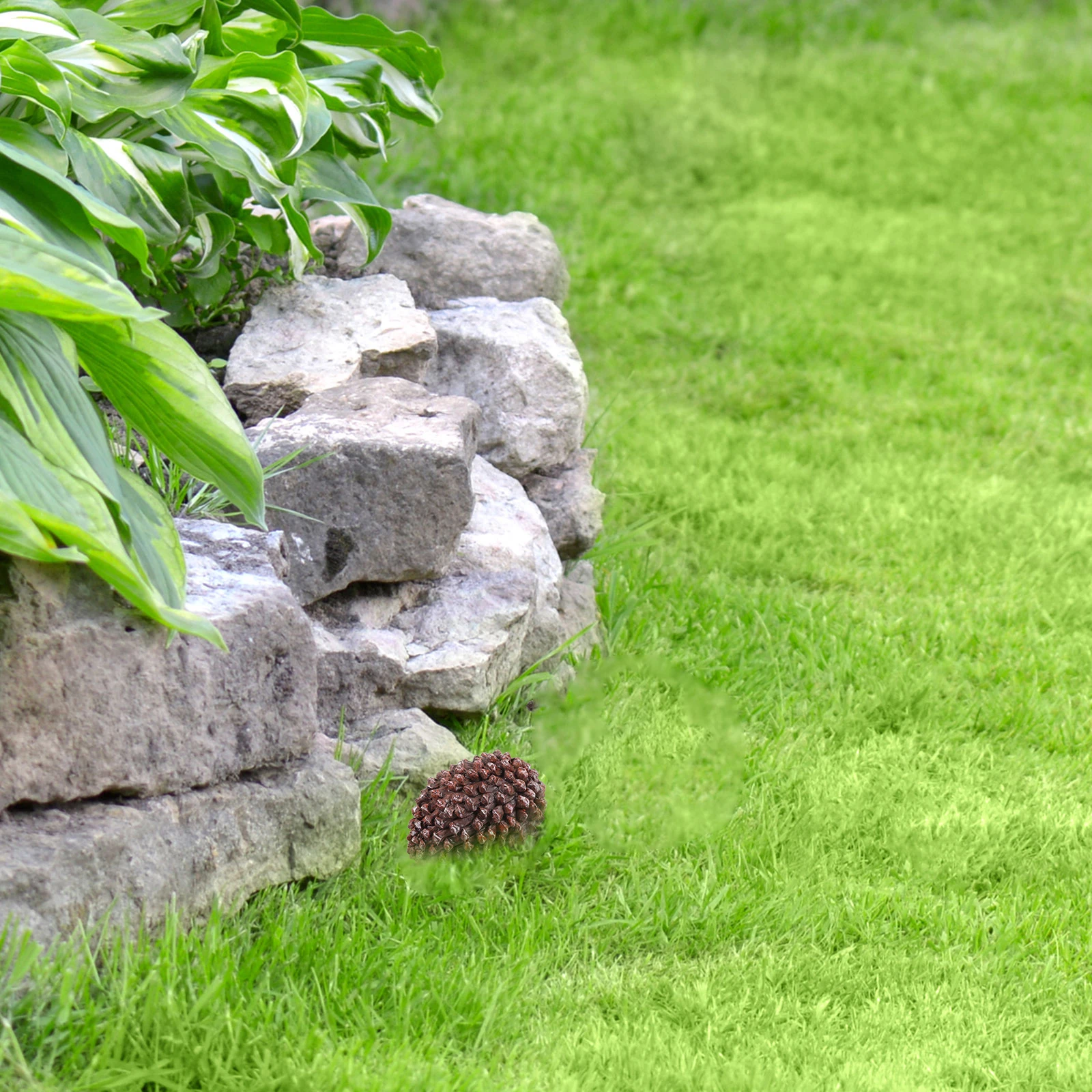 Коробка для сосновой шишки - Фотография_4