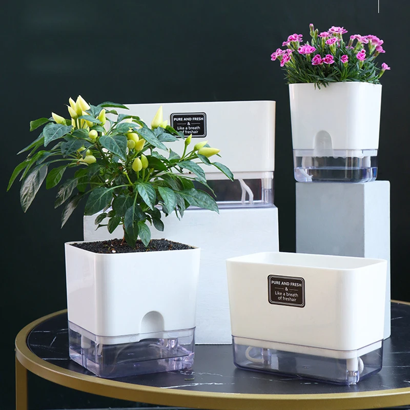 Новый самополивный горшок для растений