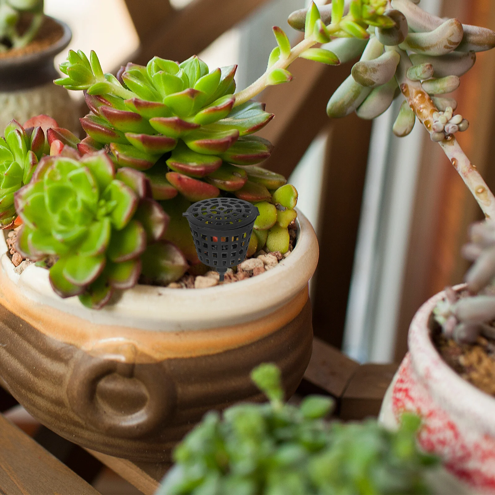 Коробка для удобрений