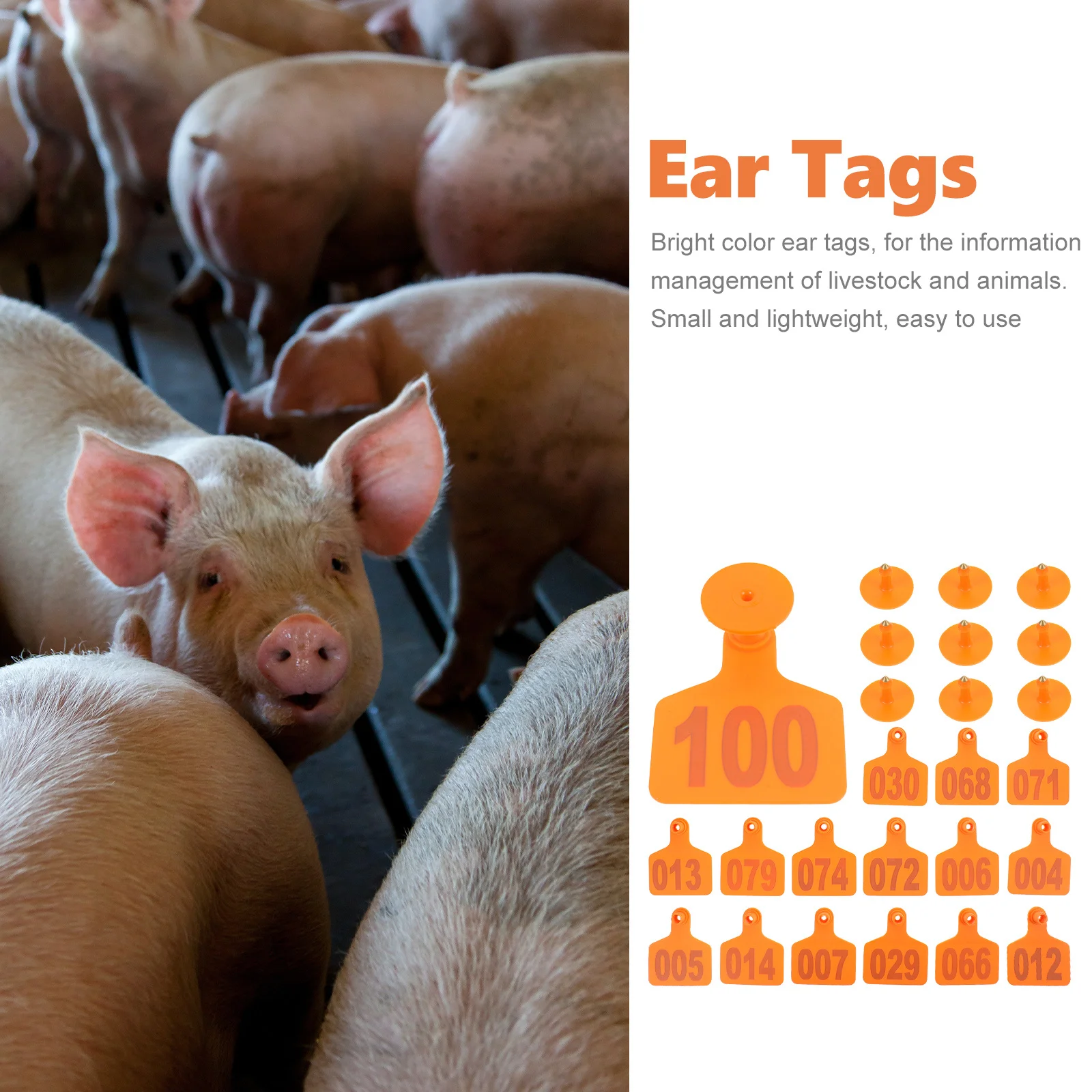 Ушные бирки для крупного рогатого скота - Фотография_6