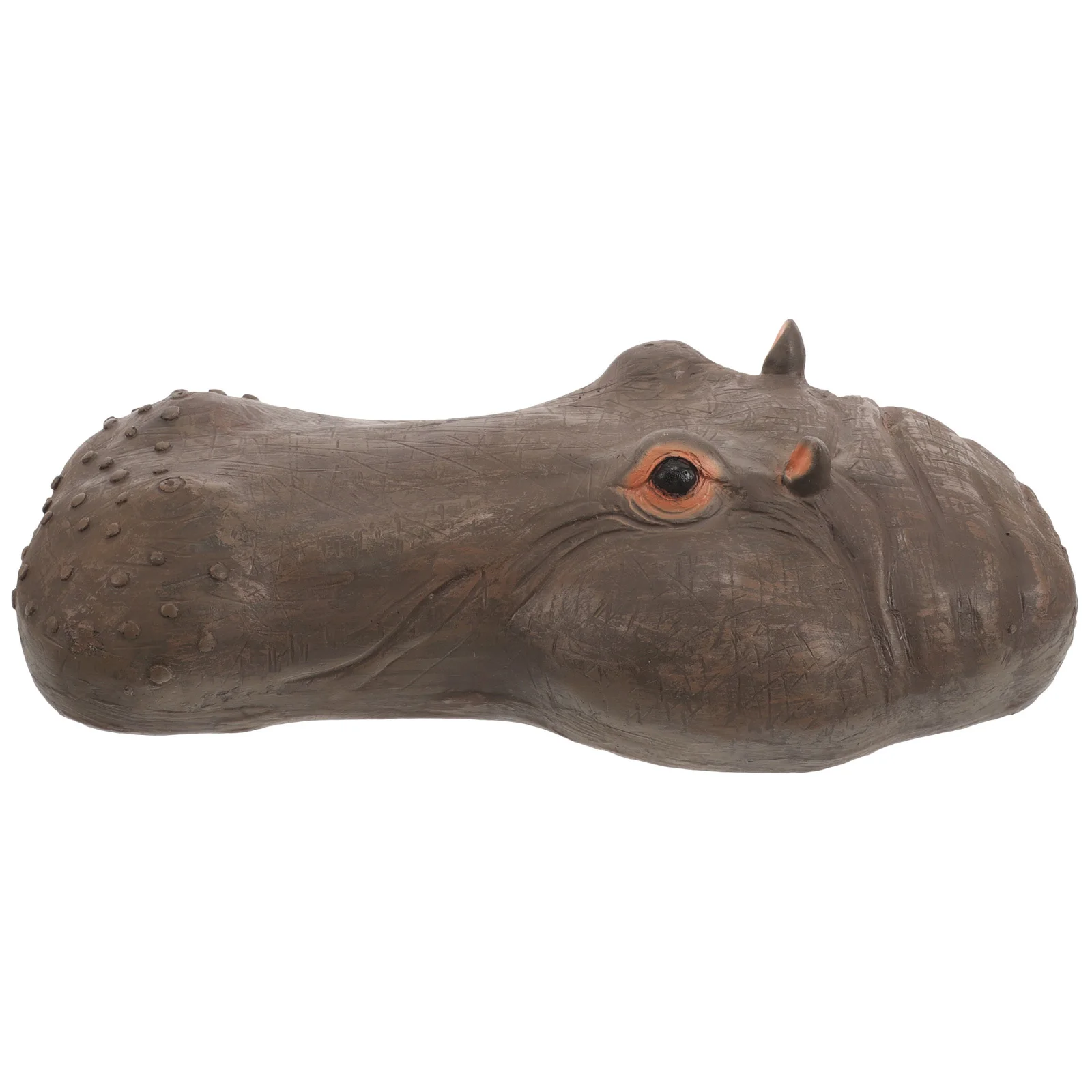 Моделирование плавающей головы - Фотография_2