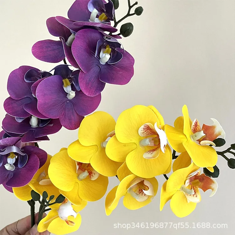 3d пленка для печати фаленопсис - Фотография_6