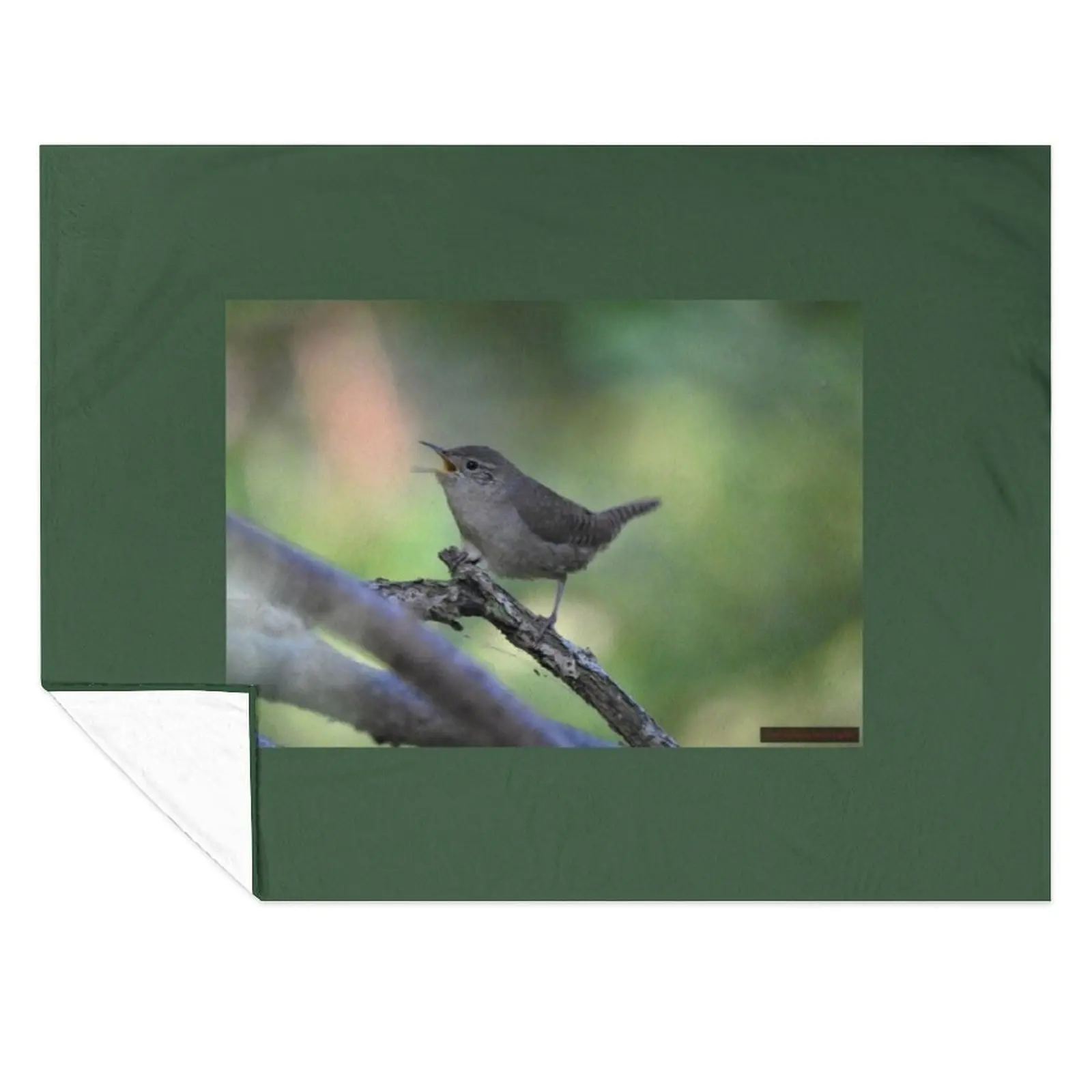 Одеяло house wren мягкие идеи подарков